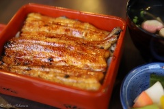 IMG_4868-1024x683-1
