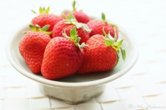 IMG_7821-800x526-2
