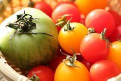 blog_import_561a7a366761f